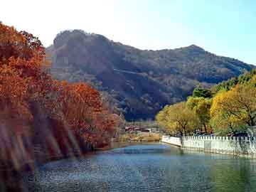 澳门精准正版免费大全14年新，芒花扫把